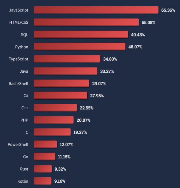 Programming Languages and How to Learn Them | Hibernian Recruitment
